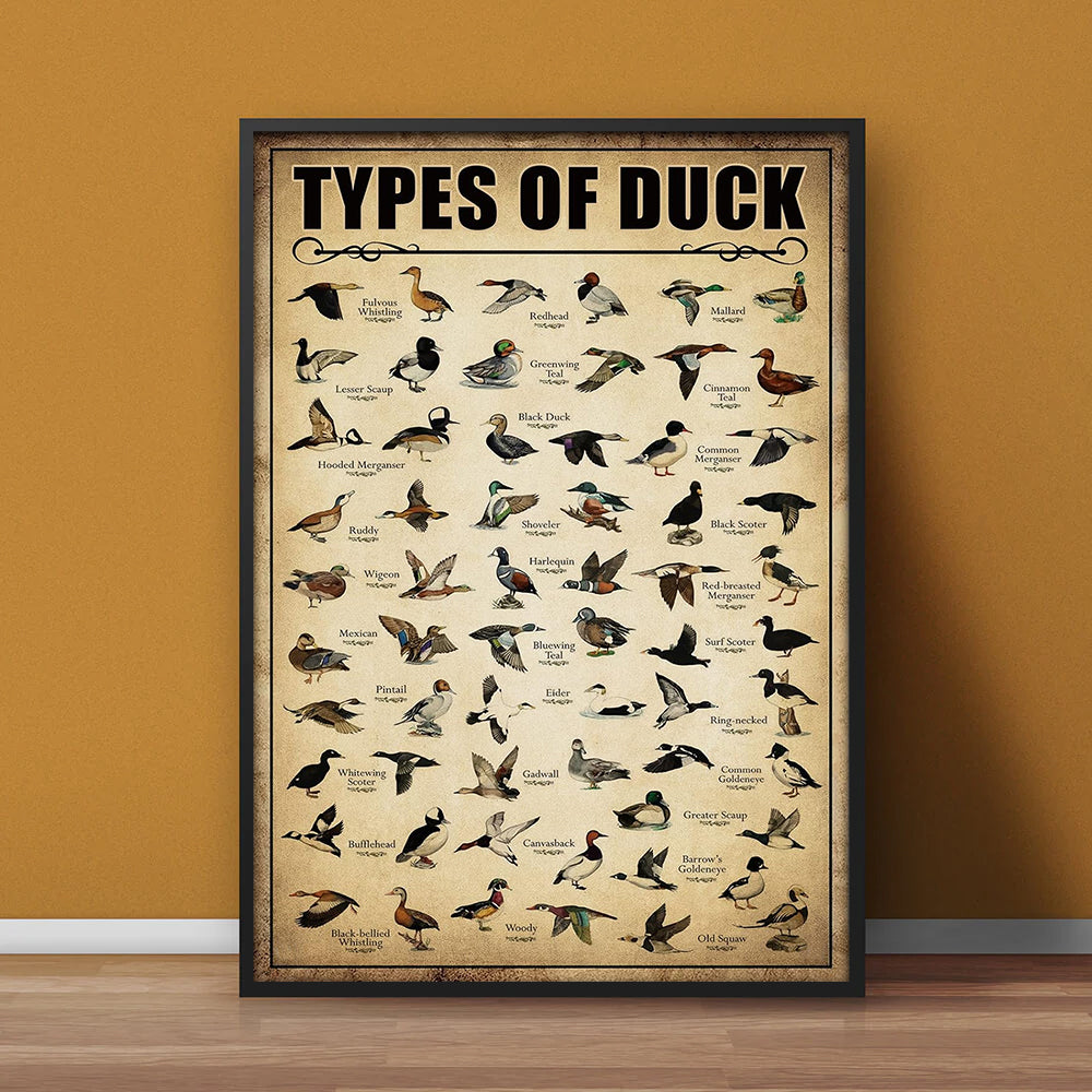 Types of Duck Poster Canvas - Comprehensive Guide for Duck Hunters Featuring 30+ Duck Species