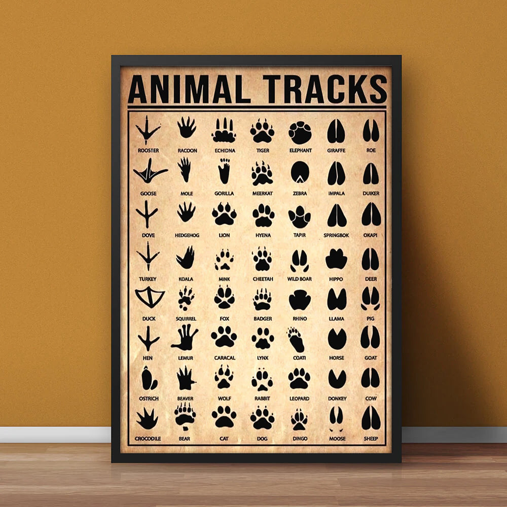 Animal Tracks Poster Canvas - Comprehensive Guide for Hunters, Wildlife Enthusiasts