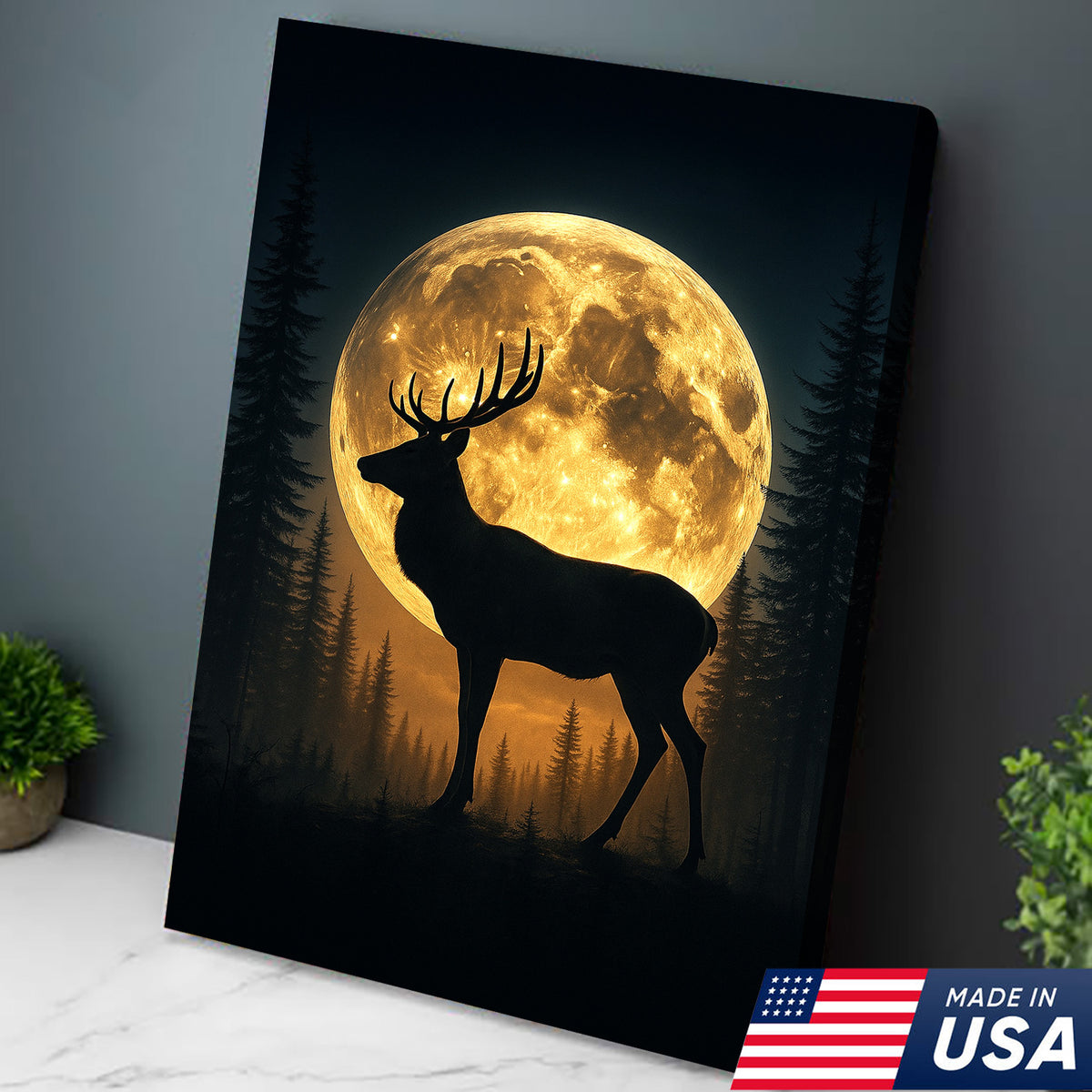 GENERAL:2_7.jpg