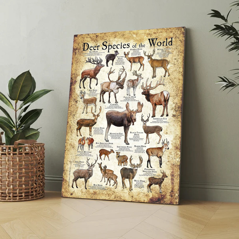 Deer Species of the World Poster Canvas - Guide for Hunting Enthusiasts, Featuring 20+ Deer Species