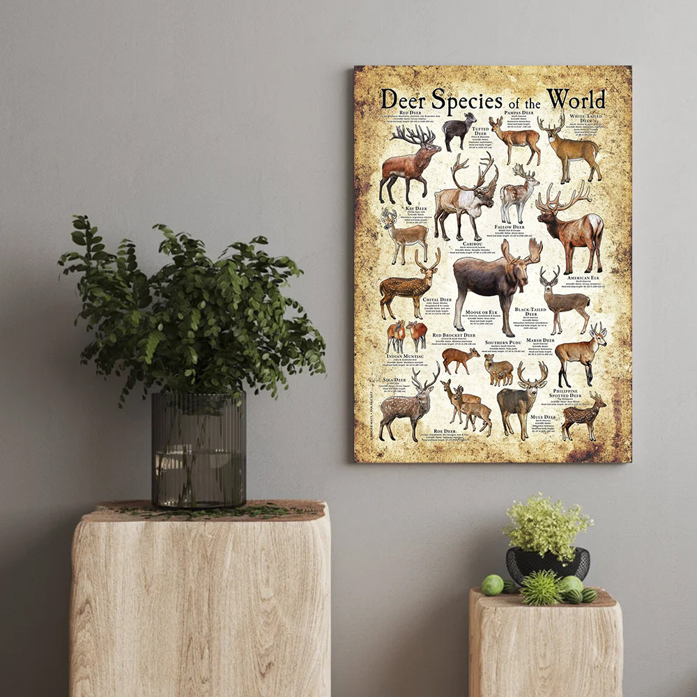 Deer Species of the World Poster Canvas - Guide for Hunting Enthusiasts, Featuring 20+ Deer Species