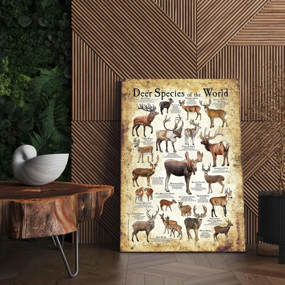 Deer Species of the World Poster Canvas - Guide for Hunting Enthusiasts, Featuring 20+ Deer Species