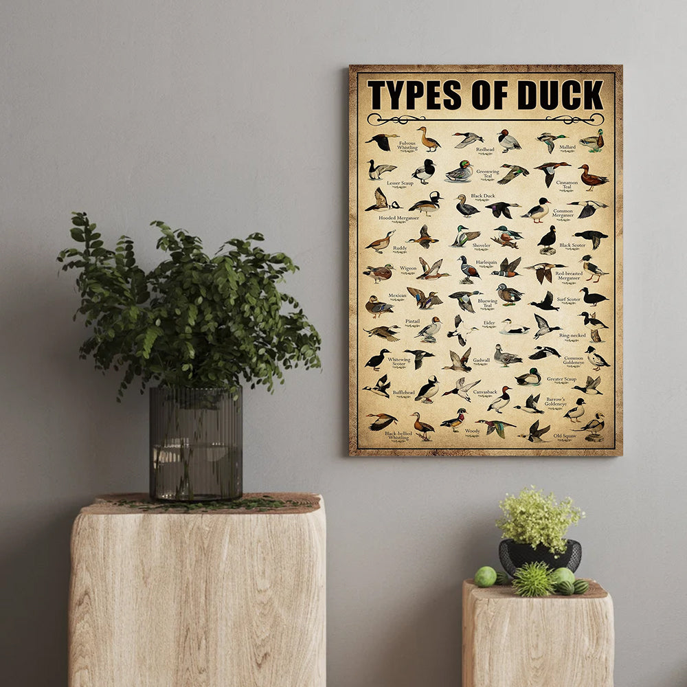Types of Duck Poster Canvas - Comprehensive Guide for Duck Hunters Featuring 30+ Duck Species