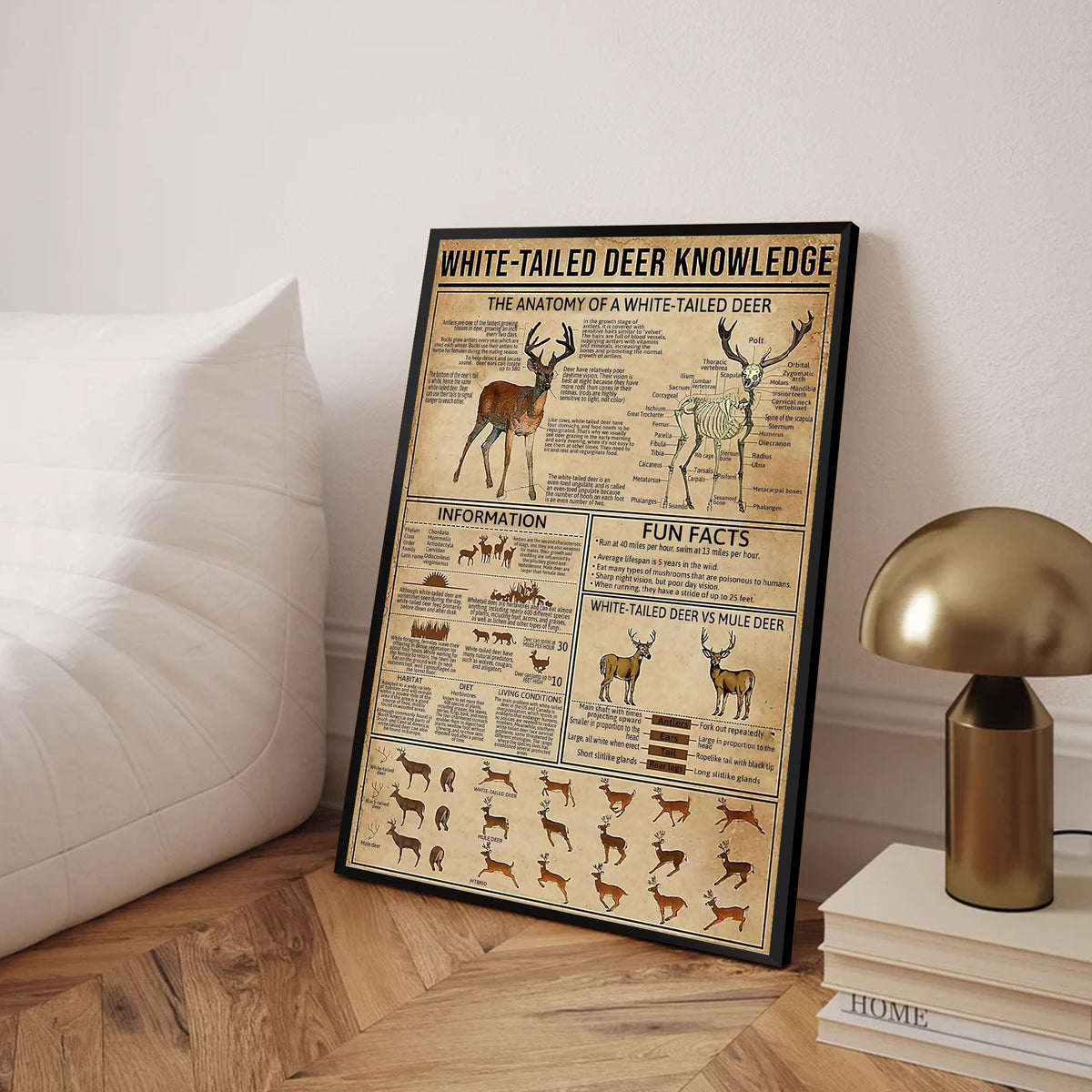 White-Tailed Deer Knowledge Canvas– Hunting Wall Art for Cabin, Lodge & Wildlife Lovers