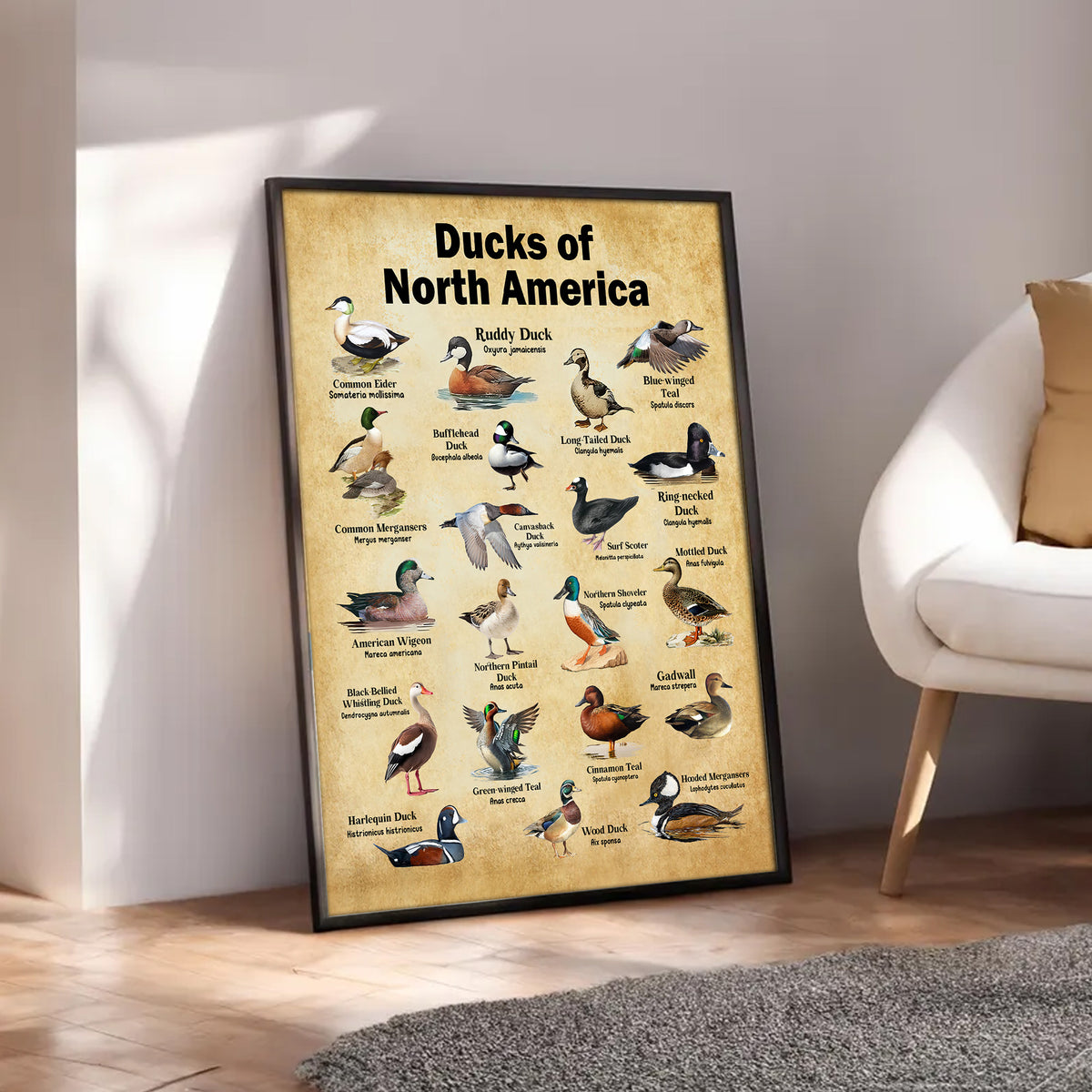 Ducks of North America Canvas – Educational Wall Art for Hunters & Nature Lovers
