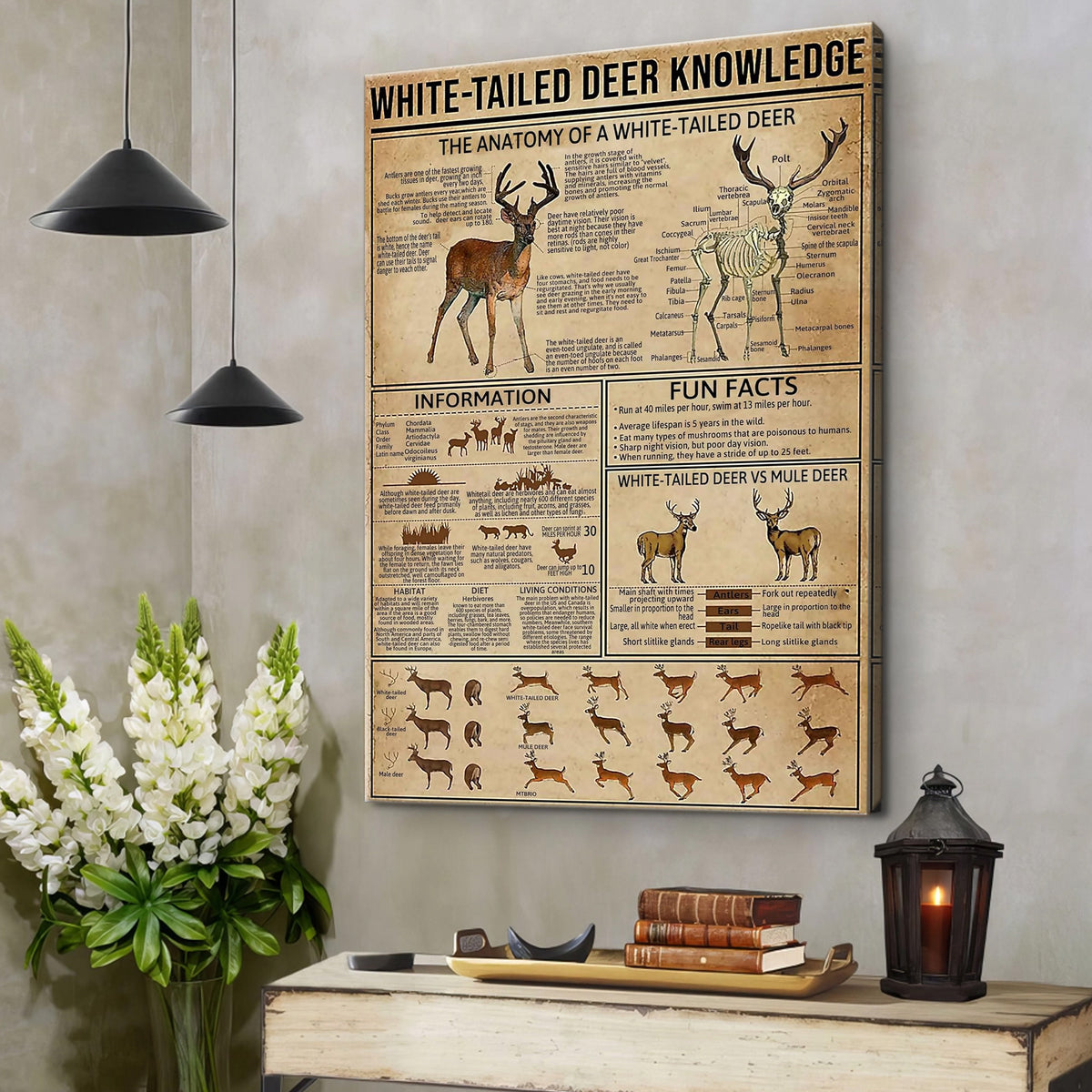 White-Tailed Deer Knowledge Canvas– Hunting Wall Art for Cabin, Lodge & Wildlife Lovers