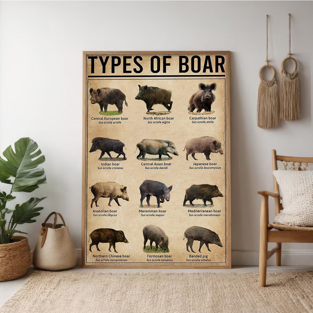 Types of Boar Hunting Canvas Wall Art – Wild Hog Species Chart Print for Hunters