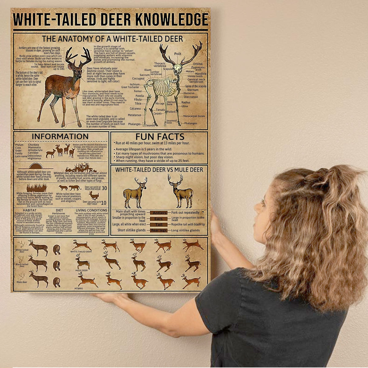 White-Tailed Deer Knowledge Canvas– Hunting Wall Art for Cabin, Lodge & Wildlife Lovers