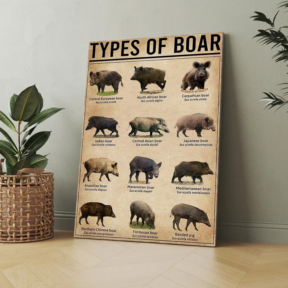 Types of Boar Hunting Canvas Wall Art – Wild Hog Species Chart Print for Hunters