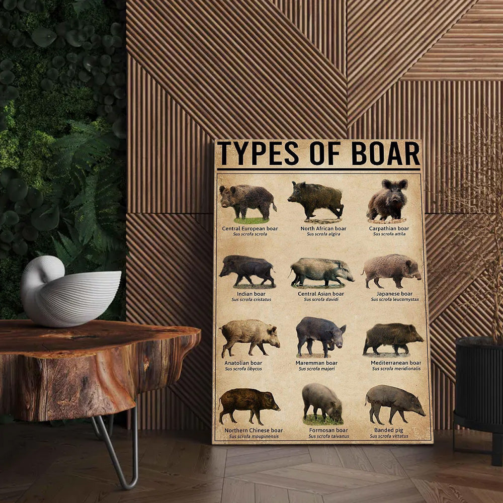 Types of Boar Hunting Canvas Wall Art – Wild Hog Species Chart Print for Hunters