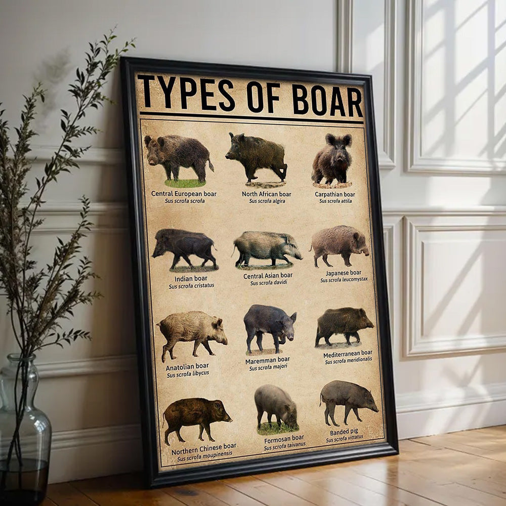 Types of Boar Hunting Canvas Wall Art – Wild Hog Species Chart Print for Hunters