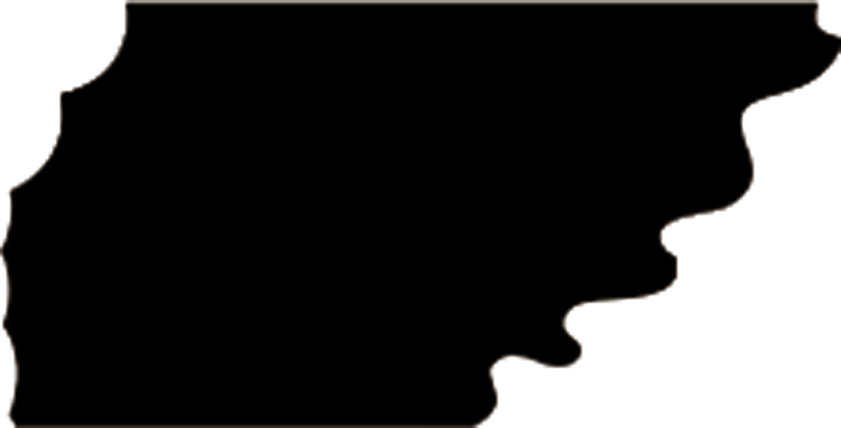 GENERAL:Layer 11.png