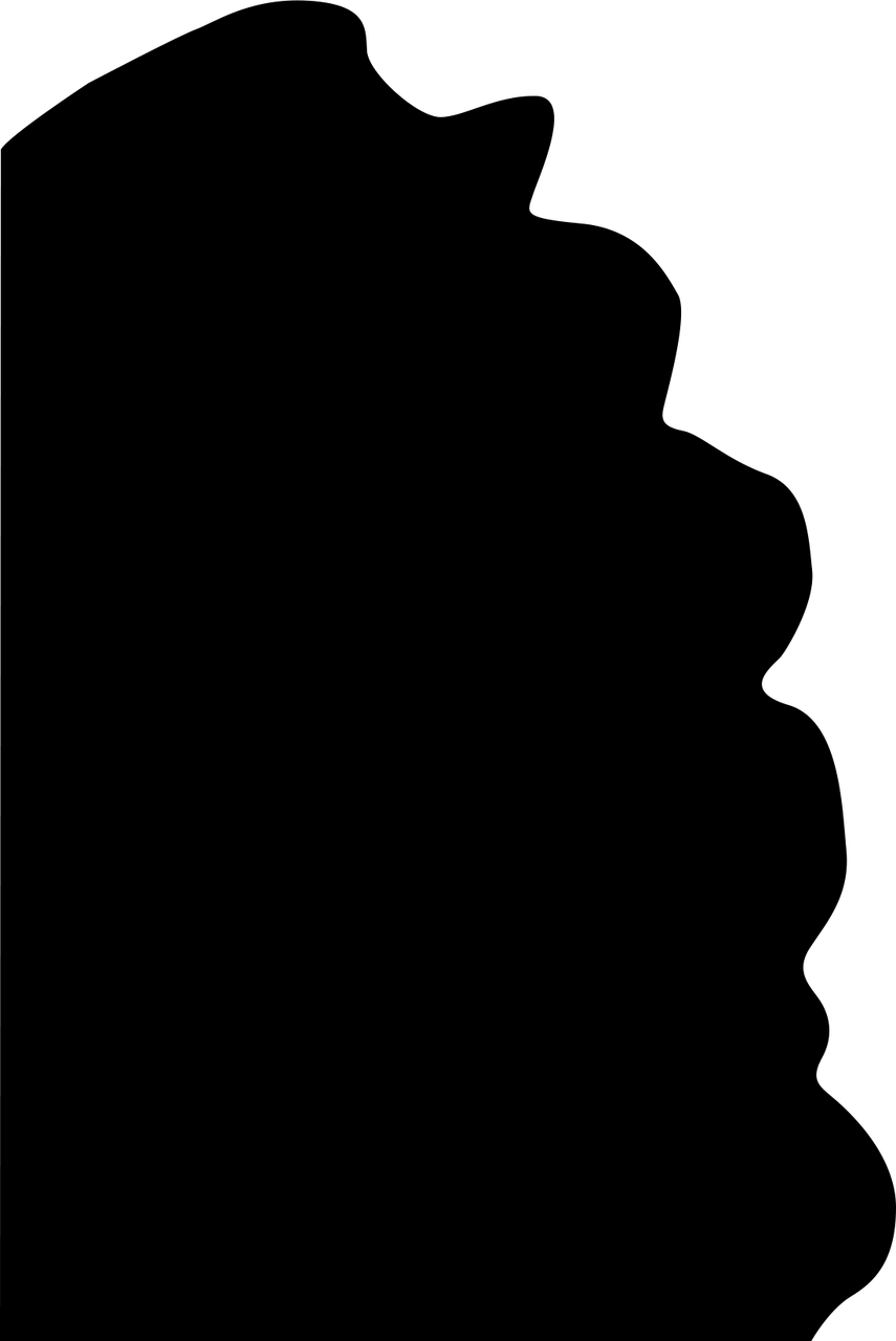 GENERAL:Layer 5.png